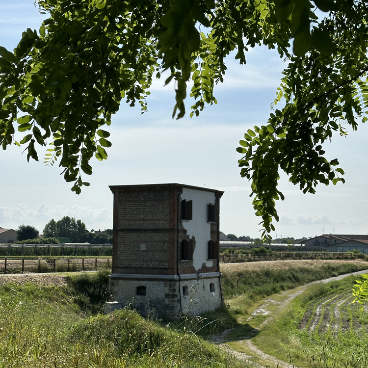 Casa Bombarda Social