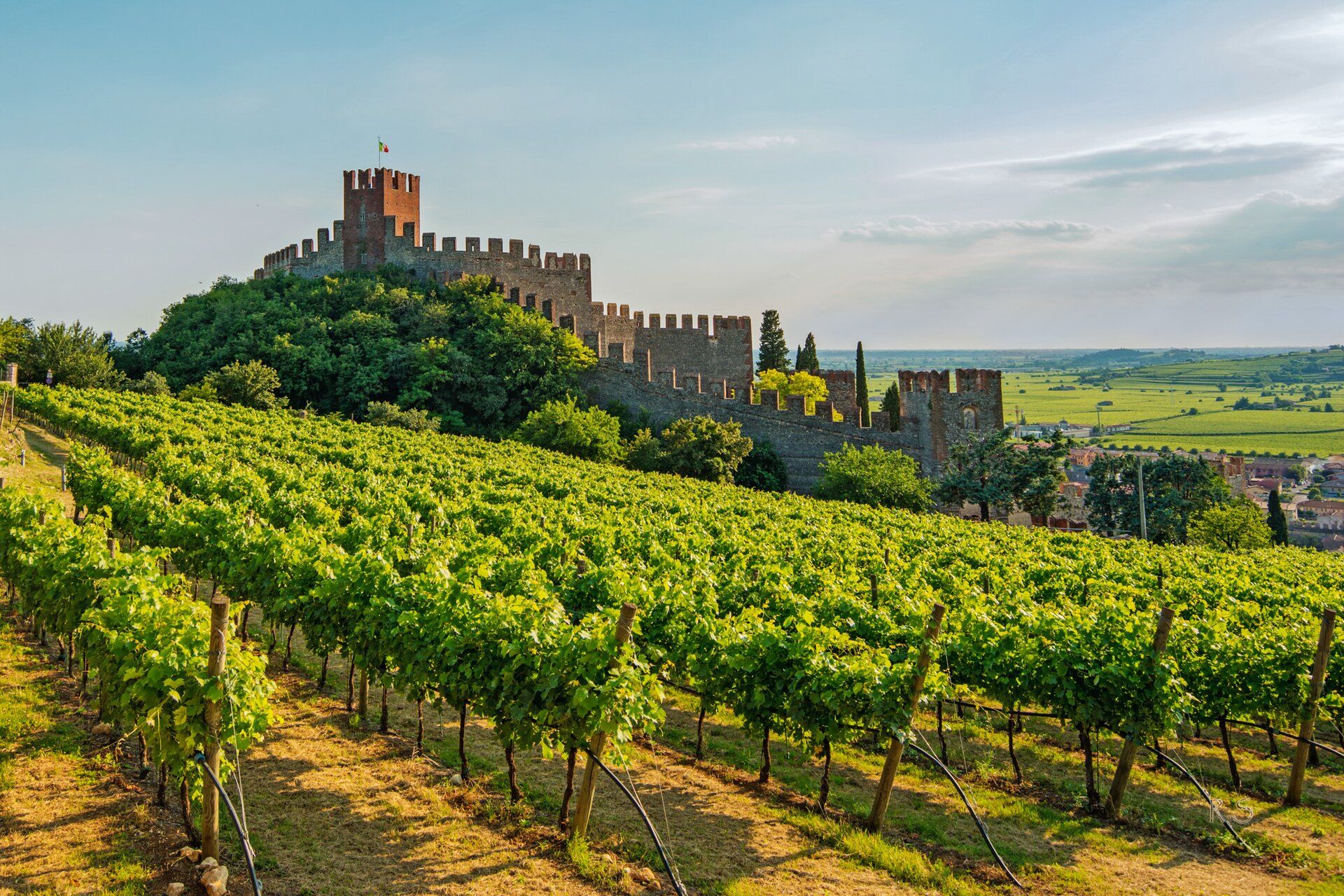 Soave Stefano Reginato 19
