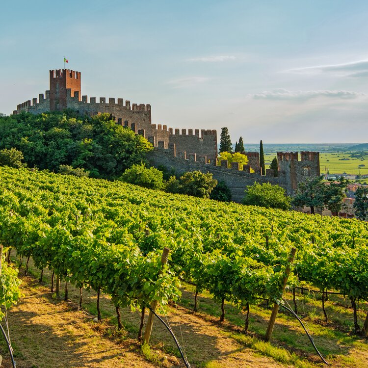 Soave Stefano Reginato 19