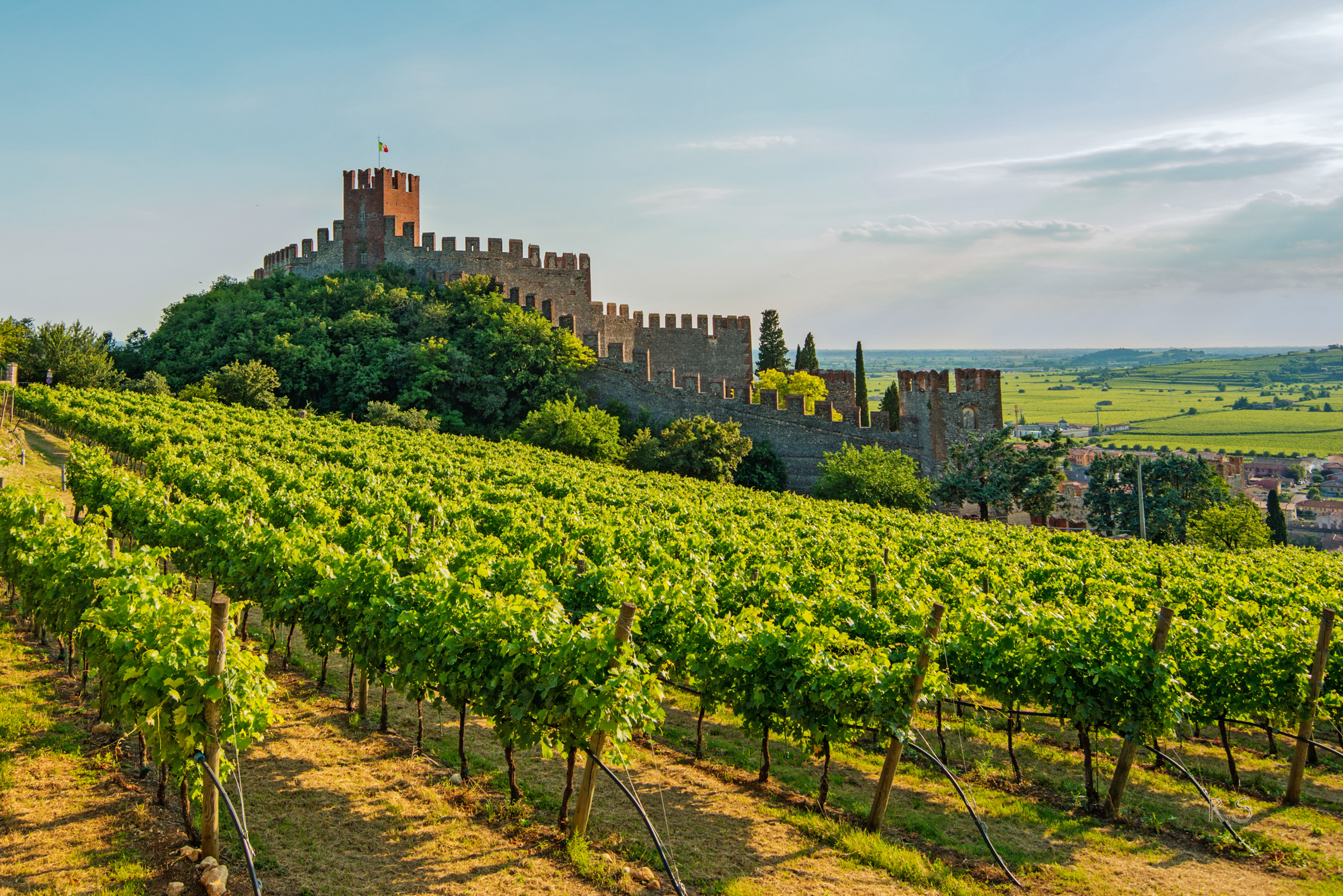 Soave-Est Veronese