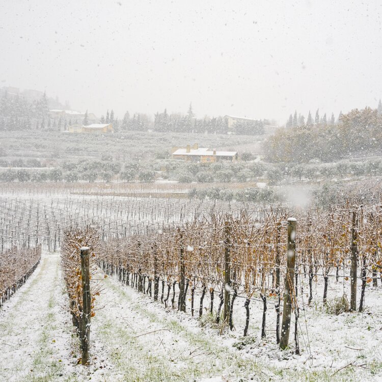 Paesaggio Innevato Web 1