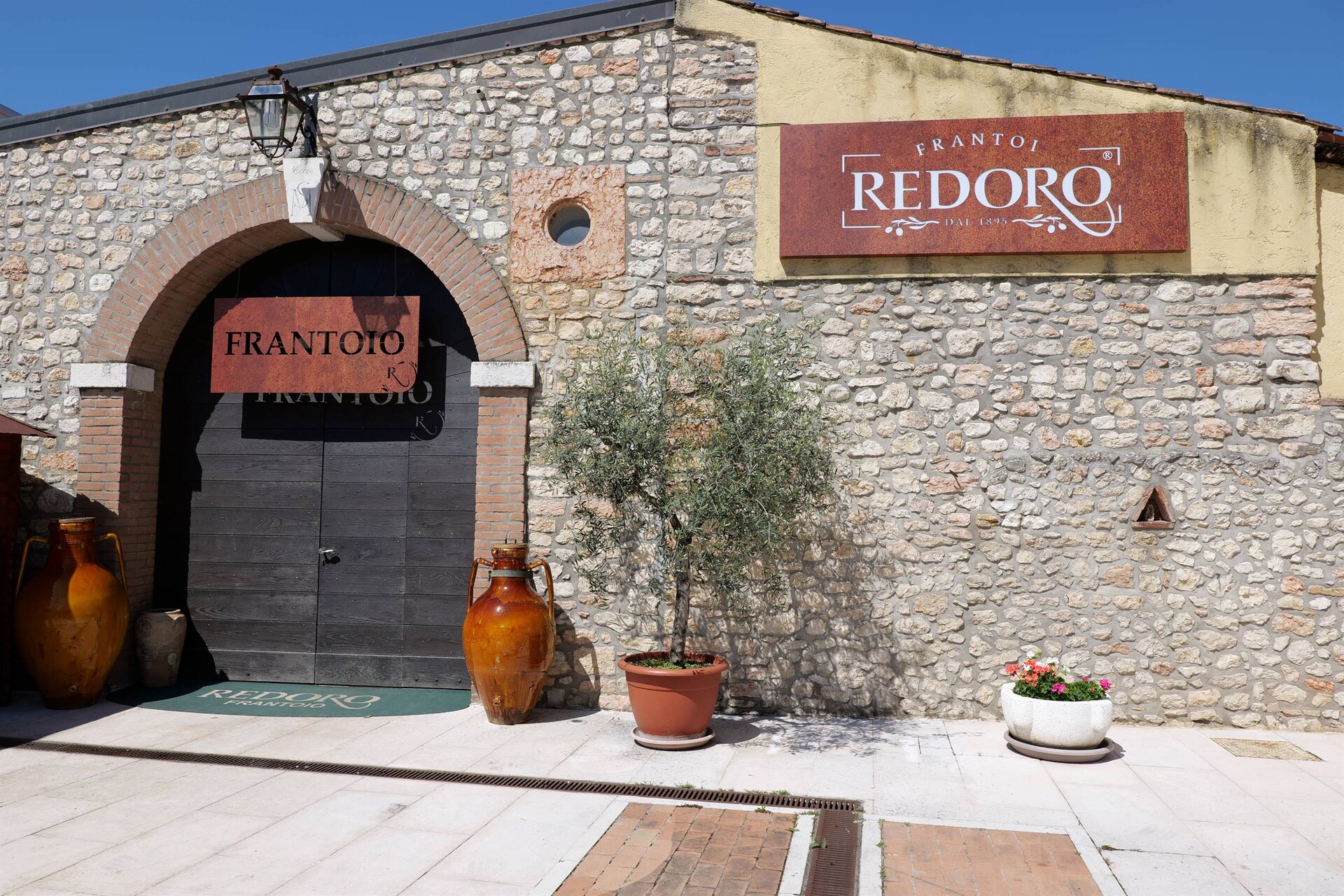 ROOTS! | Rediscovering our roots through the culture of extra virgin olive oil.