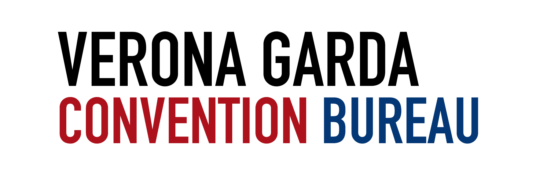 Logo del partner
