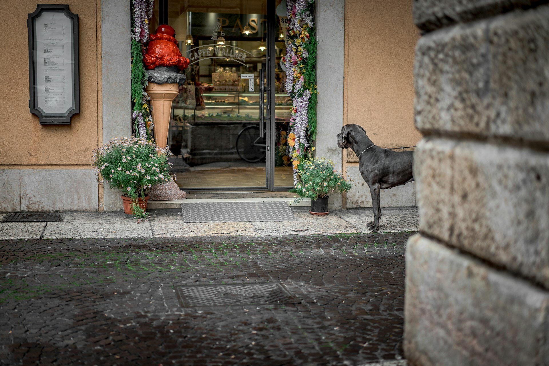 Tommaso Pecchioli Dolhwq0y2s Unsplash